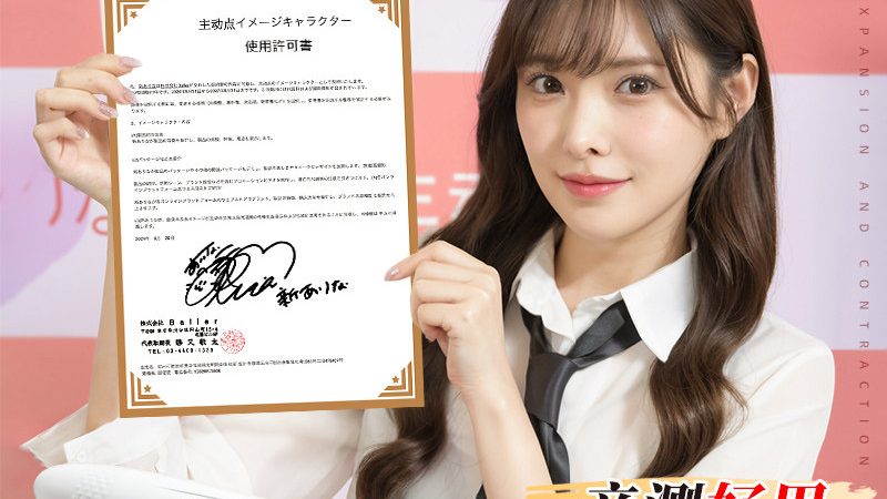 企业数据安全方案批发定价背后的真实成本逻辑